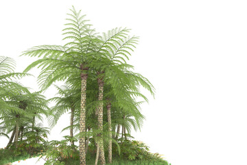Tropical forest isolated on transparent background. 3d rendering - illustration