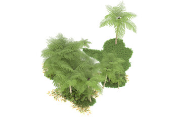Fototapeta premium Tropical forest isolated on transparent background. 3d rendering - illustration