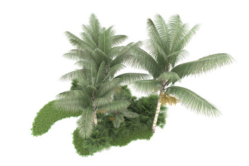Tropical forest isolated on transparent background. 3d rendering - illustration