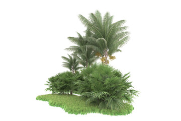 Tropical forest isolated on transparent background. 3d rendering - illustration