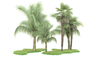 Obraz na płótnie Canvas Tropical forest isolated on transparent background. 3d rendering - illustration