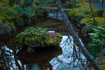 Reflective Pond in Japan