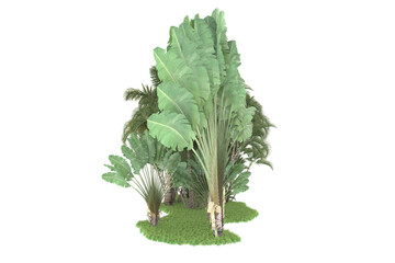 Tropical forest isolated on transparent background. 3d rendering - illustration