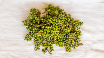 Zanthoxylum green berries that are use in food to add taste and flavor