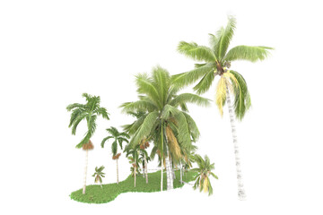 Tropical forest isolated on transparent background. 3d rendering - illustration