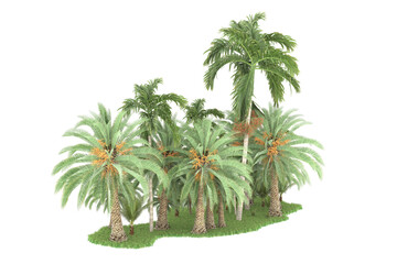 Tropical forest isolated on transparent background. 3d rendering - illustration