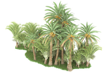 Tropical forest isolated on transparent background. 3d rendering - illustration