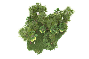 Fototapeta premium Tropical forest isolated on transparent background. 3d rendering - illustration