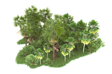 Tropical forest isolated on transparent background. 3d rendering - illustration