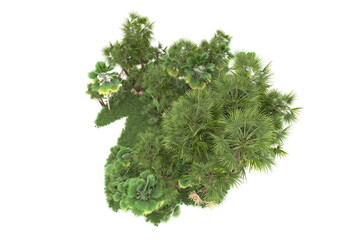 Obraz premium Tropical forest isolated on transparent background. 3d rendering - illustration