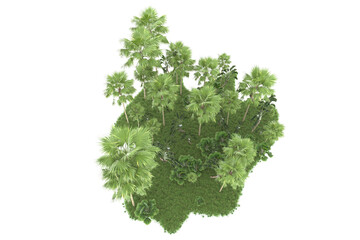 Obraz premium Tropical forest isolated on transparent background. 3d rendering - illustration