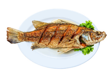 Fresh grilled fish in plate on white background.