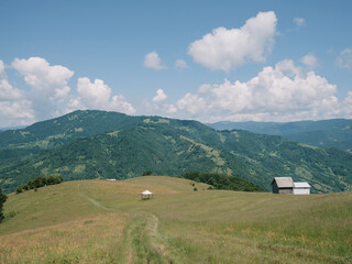 Fototapeta na wymiar Enchanting Summer Landscape of Carpathian Mountains in Mist