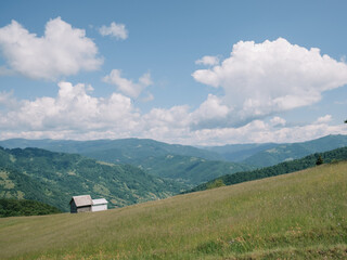 Enchanting Summer Landscape of Carpathian Mountains in Mist