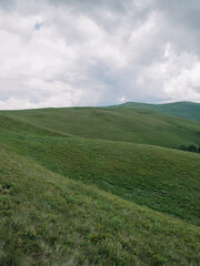 Enchanting Summer Landscape of Carpathian Mountains in Mist