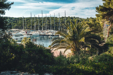 yachts and sailboat moored in a beautiful natural harbor full of greenery.