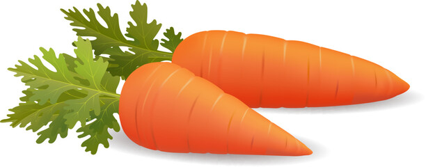 Photo realistic 3d carrot