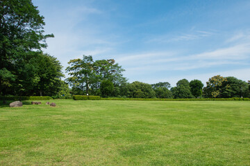 Fototapeta na wymiar さわやかな青空と芝生が広がる公園