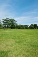 さわやかな青空と芝生が広がる公園