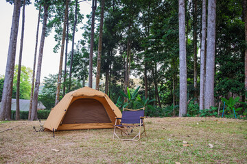 Camping picnic yellow tent campground with black chair in outdoor hiking forest. Camper while campsite in nature wood background at summer trip camp. Adventure travel vacation concept