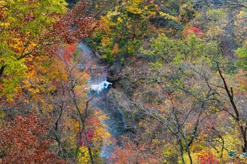Autumn colors in Naruko Gorge