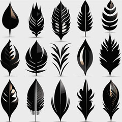 Set of black feathers isolated on white background. Vector illustration for your design