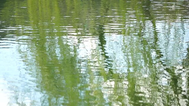 ripples on the water surface with reflection of branches of weeping willow tree and fresh green spring goslings shaking in wind, over blue lake water, creating a serene and tranquil scene. slow motion
