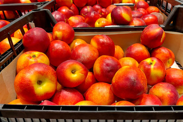 Many beautiful ripe peaches on supermarket counter in grocery shop for sale. - 616941366