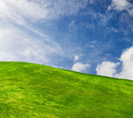 Landscape with green grass field under a blue sky