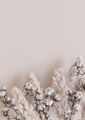 Beige vertical background with dried plants and empty space for text. Bottom border with copy space. Realistic pampas grass and cotton plants. 3D rendering.