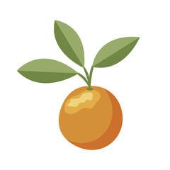 Orange. Orange twig on white background. Vector illustration.