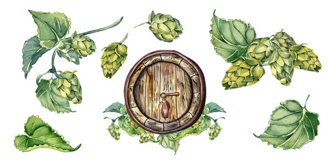 Set of wooden beer barrel and hop plants watercolor illustration isolated on white background. Vintage barrel hand drawn. Design element for advertising beer festival, packaging, brewing, signboard
