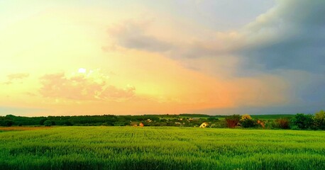 sunset over green field