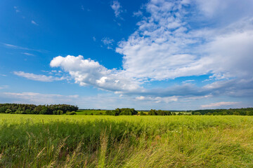 Summer landscape with fields and forests under clouds and blue sky
