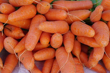 close up fresh carrots carrot