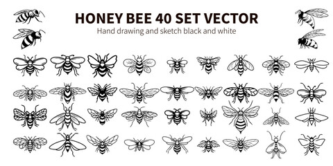 HONEY BEE 40 SET VECTOR HAND DRAWING AND SKETC BLACK AND WHITE