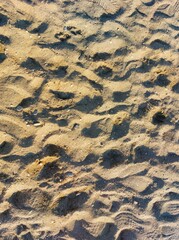 Texture, background
