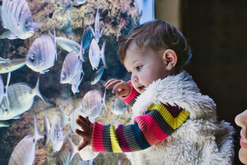 A little girl touching the glass of a fish tank at an aquarium, with tropical fish swimming