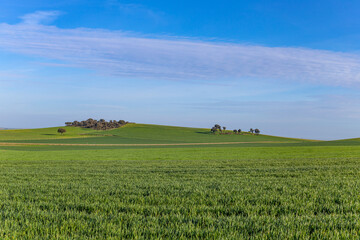 Fototapeta premium field and the clouds in Zamora