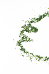 Christmas tree silhouette by green dill on a white background