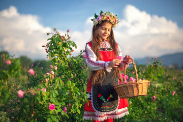 Beautiful girl, young bulgarian woman in ethnic folklore dress enjoying aromatic roses and picking...
