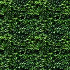 Fototapeta na wymiar Hedge with green leaves, seamless pixel perfect pattern texture.