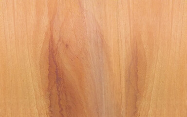 Wooden texture with vertical veins. Vector wood background. 