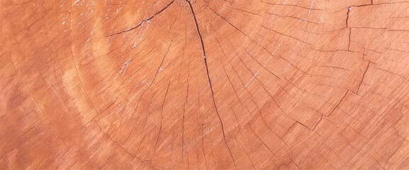 Fototapeta premium Wood texture template. Wood texture background. Vintage background of weathered painted wooden plank. Vector illustration. 