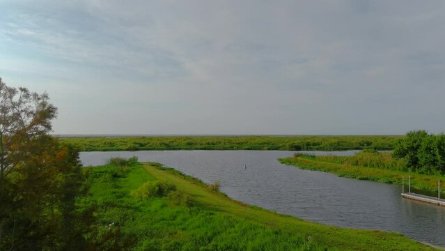 Aerial of the Lake Okeechobee inlet passing by a tree  and over water