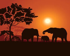 Fototapeta na wymiar African savannah landscape with elephants silhouettes, sunset, sunrise, red background. Vector illustration.