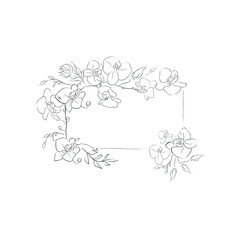 Hand Drawn Orchid Flower Arrangement. Floral Decorative Design Element. Text Frame.