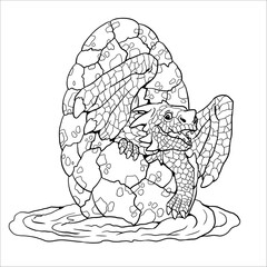 Funny dragon baby hatches from the egg. Fantasy illustration with mythical creature. Dragons vector drawing coloring sheet.