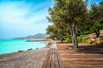 Wooden pathway, crafted from rustic wood, meandering alongside the glistening blue sea, flanked by majestic almyrikia trees. The azure waters of the sea stretch out, offering a mesmerizing view.