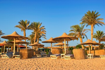 Idylic beach with palms and sun umbrelas, Red Sea, Egypt
